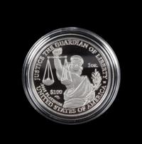 A United States 2010 American Eagle: Preamble Series 1 Oz. Platinum Coin