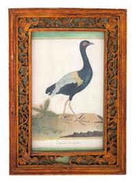 Twelve French Hand-Colored Bird Engravings — Designed and Engraved by Francois Nicolas Martinet (1731-1804); From Histoire Naturelle des Oiseaux by George-Louis Marie Leclere, Comte de Buffon; Printed at the Imprimerie Royale, 1770-1786