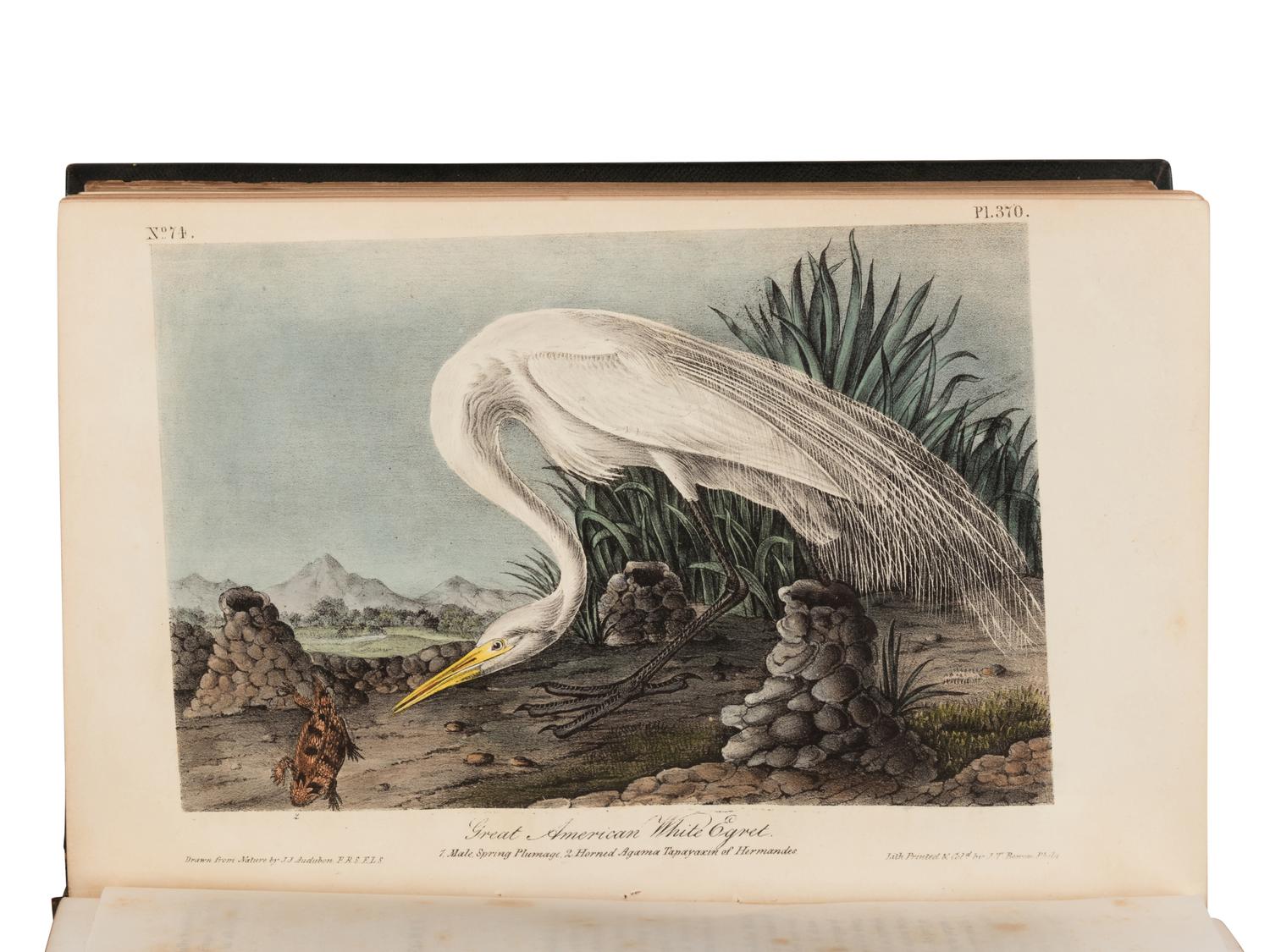 Audubon, John James. The Birds of America, from Drawings Made in the United States and their Territories