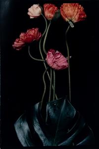 Three Poppies One and Spectrum of Five Poppies One (Pair of Works)