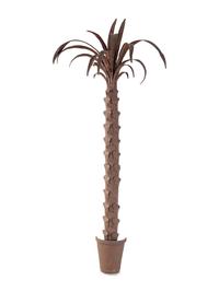 A Pressed Metal Palm Tree Appliqué in the Style of Serge Roche