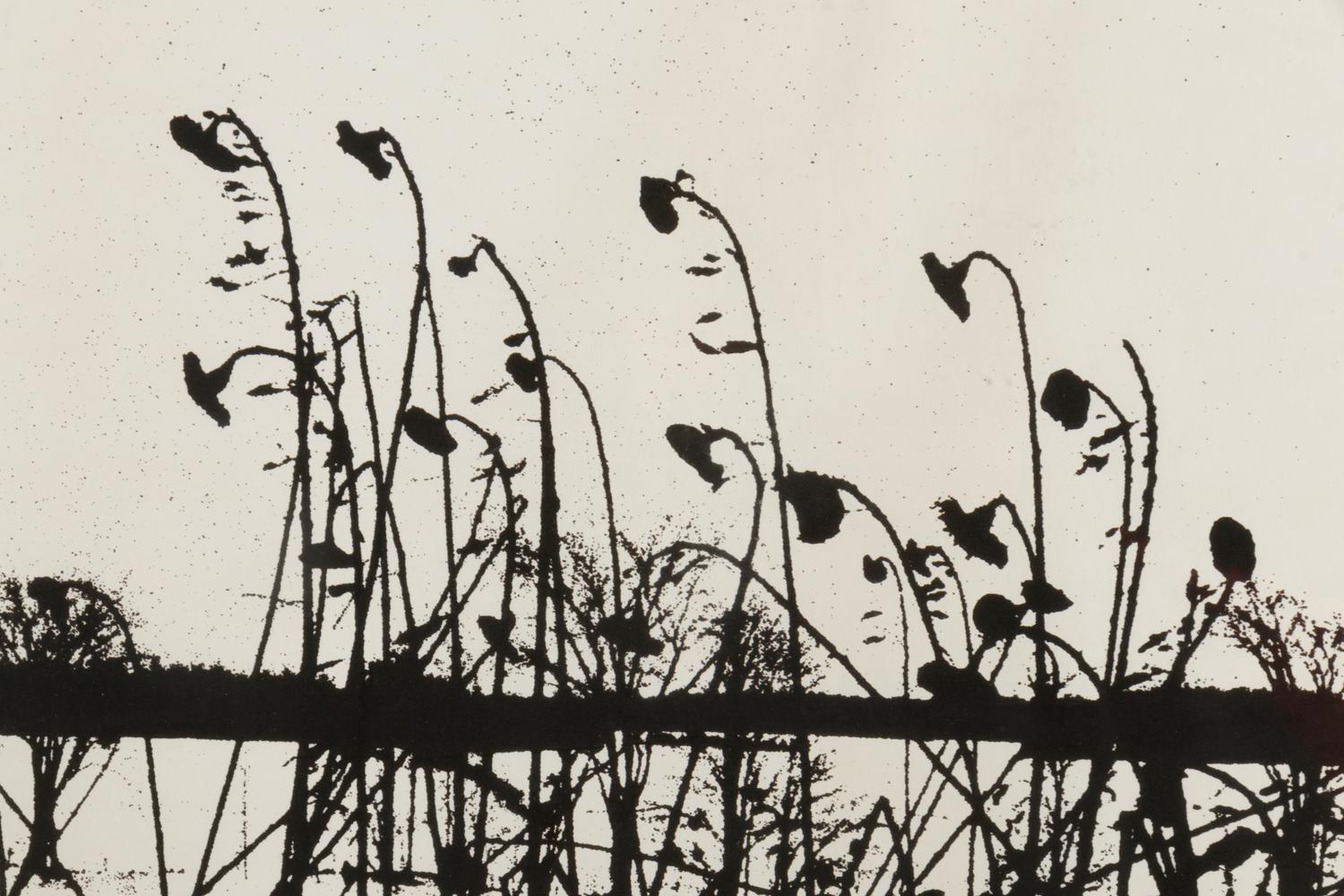 Mountain Grove, 1975 and Sunflowers After, 1972