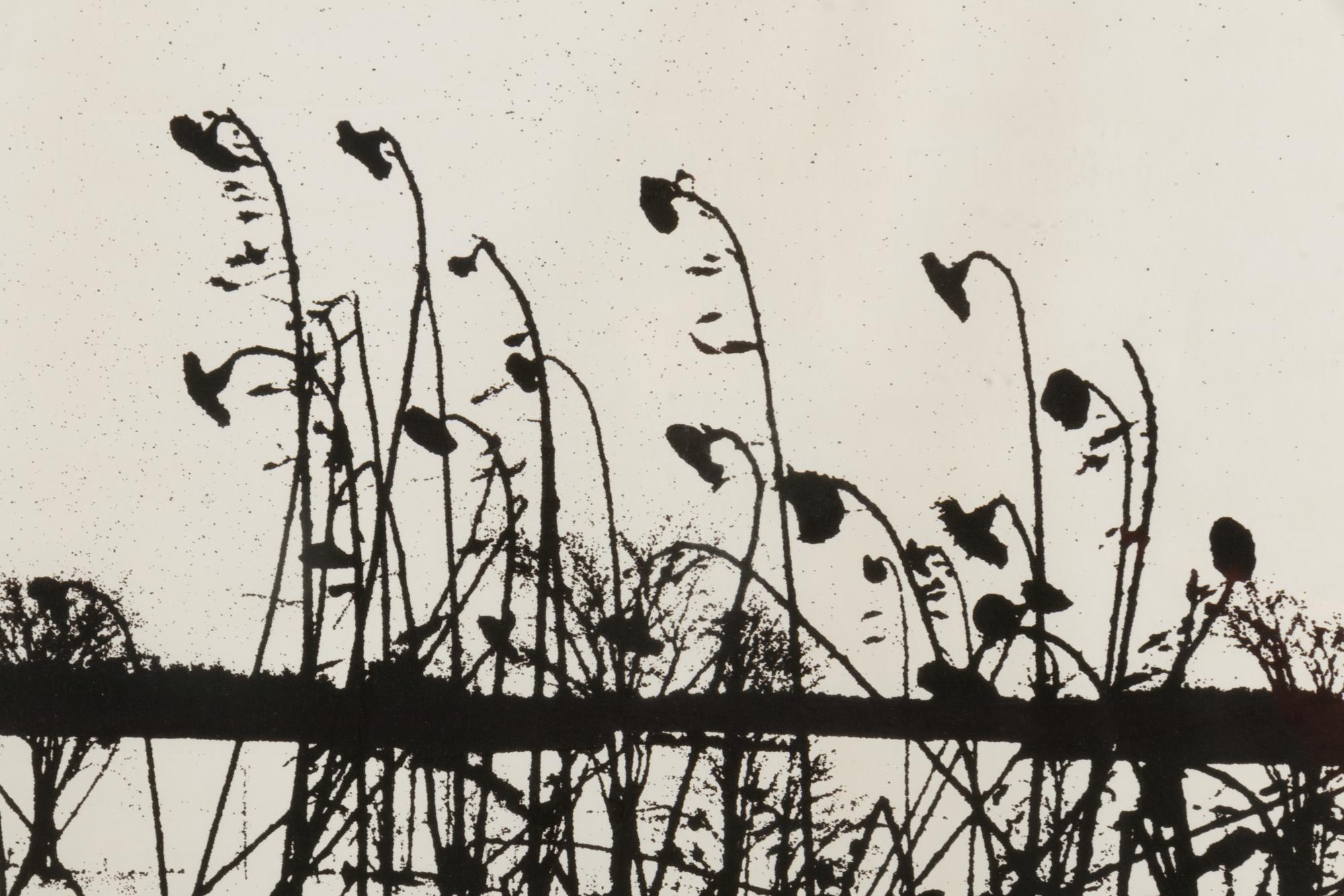 Mountain Grove, 1975 and Sunflowers After, 1972