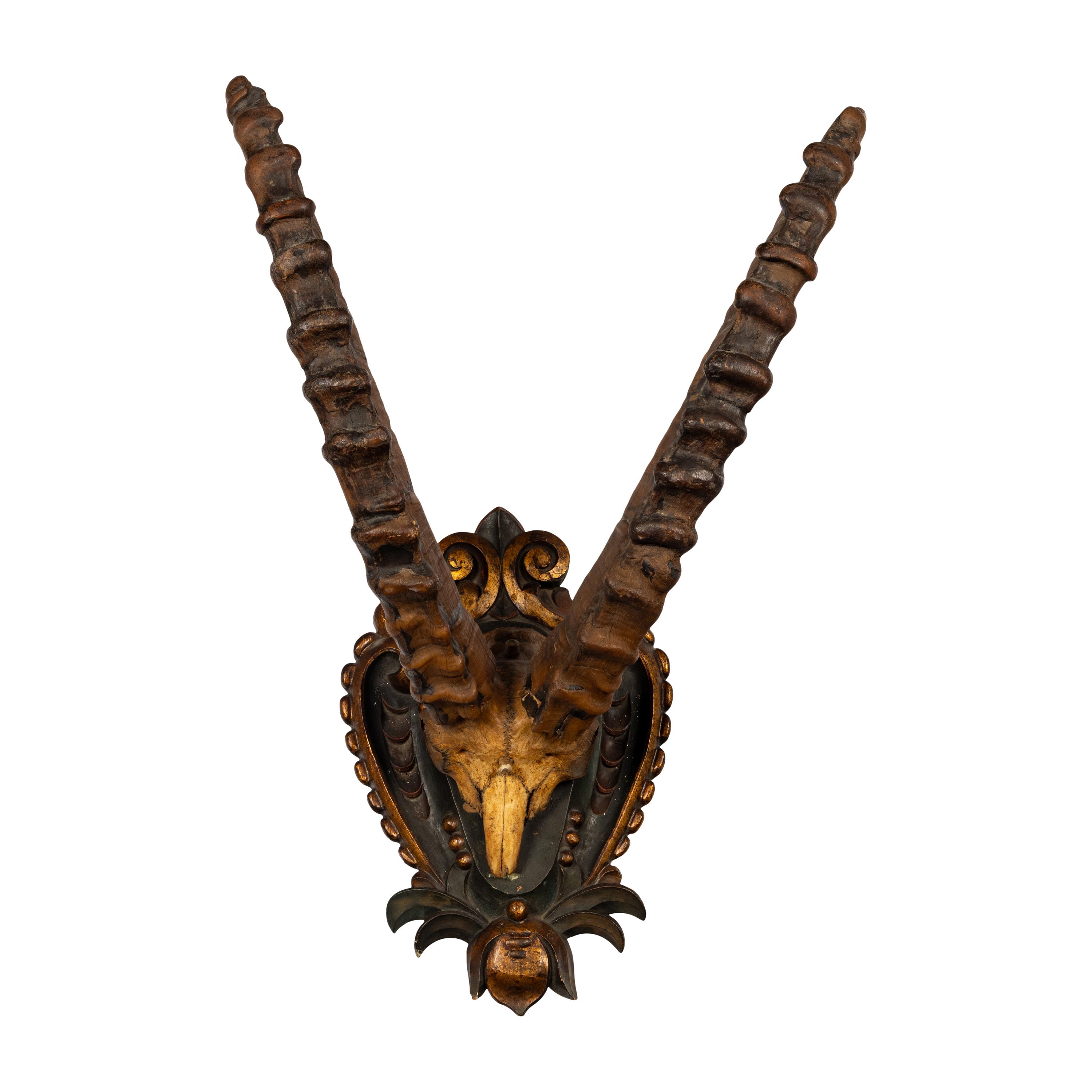 A Taxidermy Ibex Antler Mount