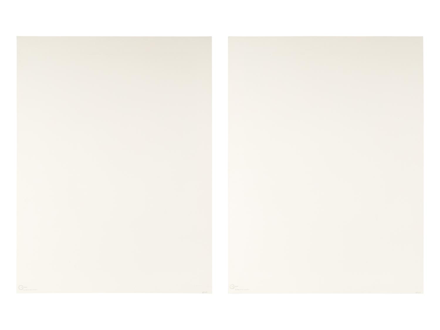 Zonau II ( diptych), 1989