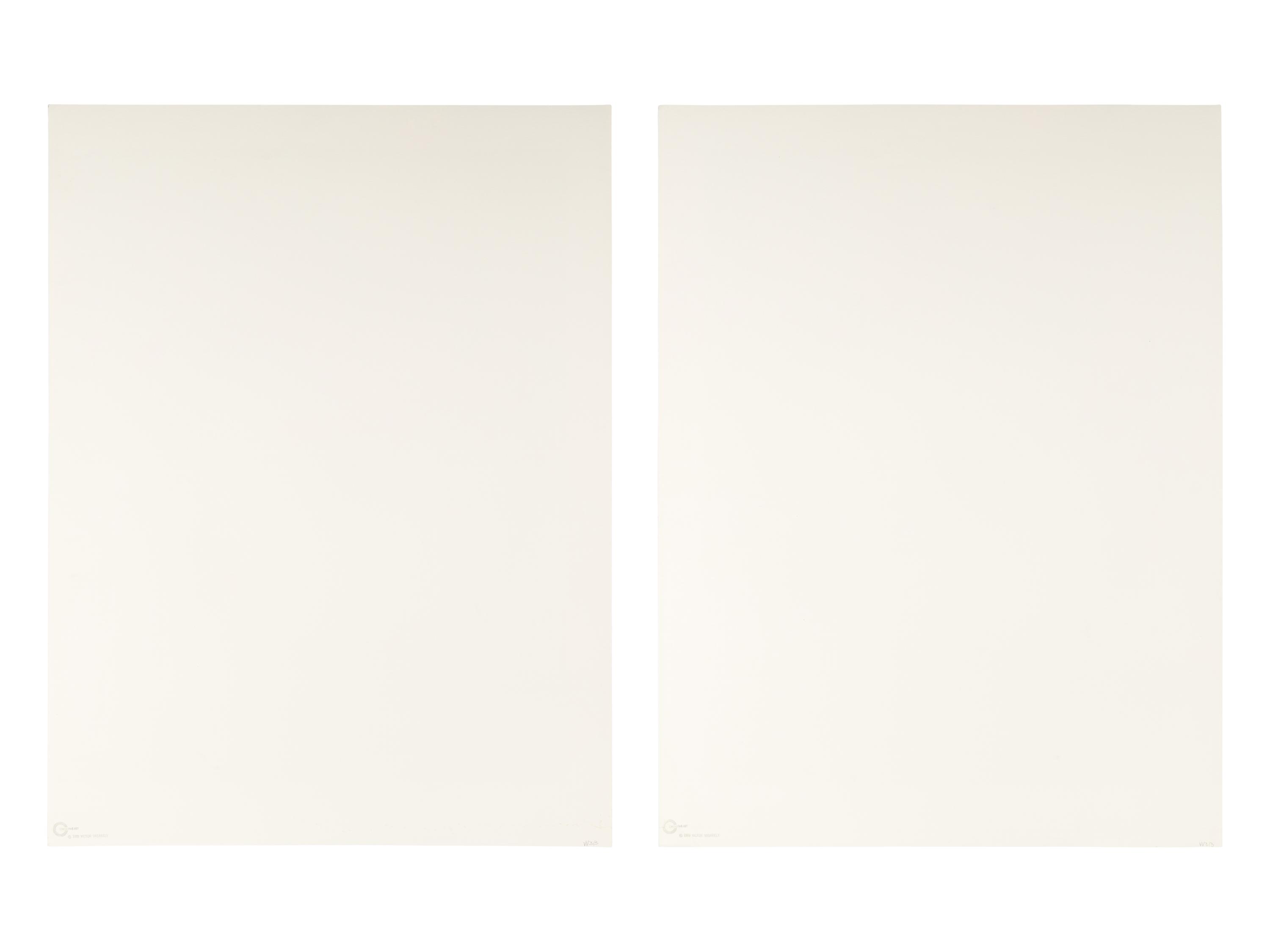 Zonau II ( diptych), 1989