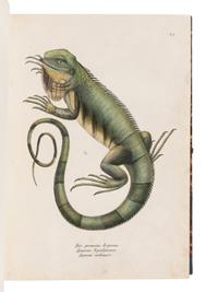 SCHINZ, Heinrich Rudolf (1777-1861). Naturgeschichte und Abbildungen der Reptilien . Zurich: Schaffhausen, 1833.