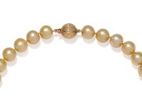 CULTURED GOLDEN SOUTH SEA PEARL NECKLACE