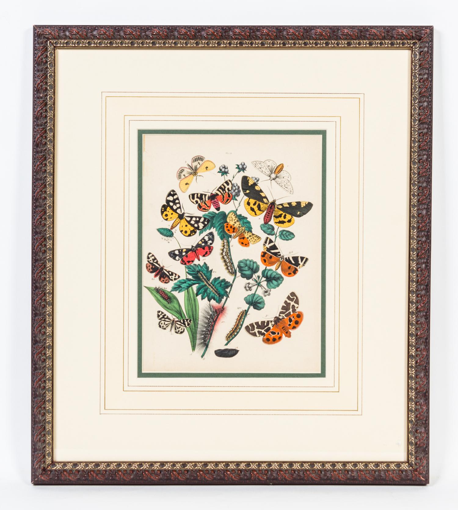 A Set of Four Handcolored Engravings Height of each 20 x width 17 inches.