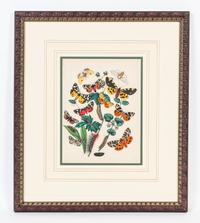 A Set of Four Handcolored Engravings Height of each 20 x width 17 inches.