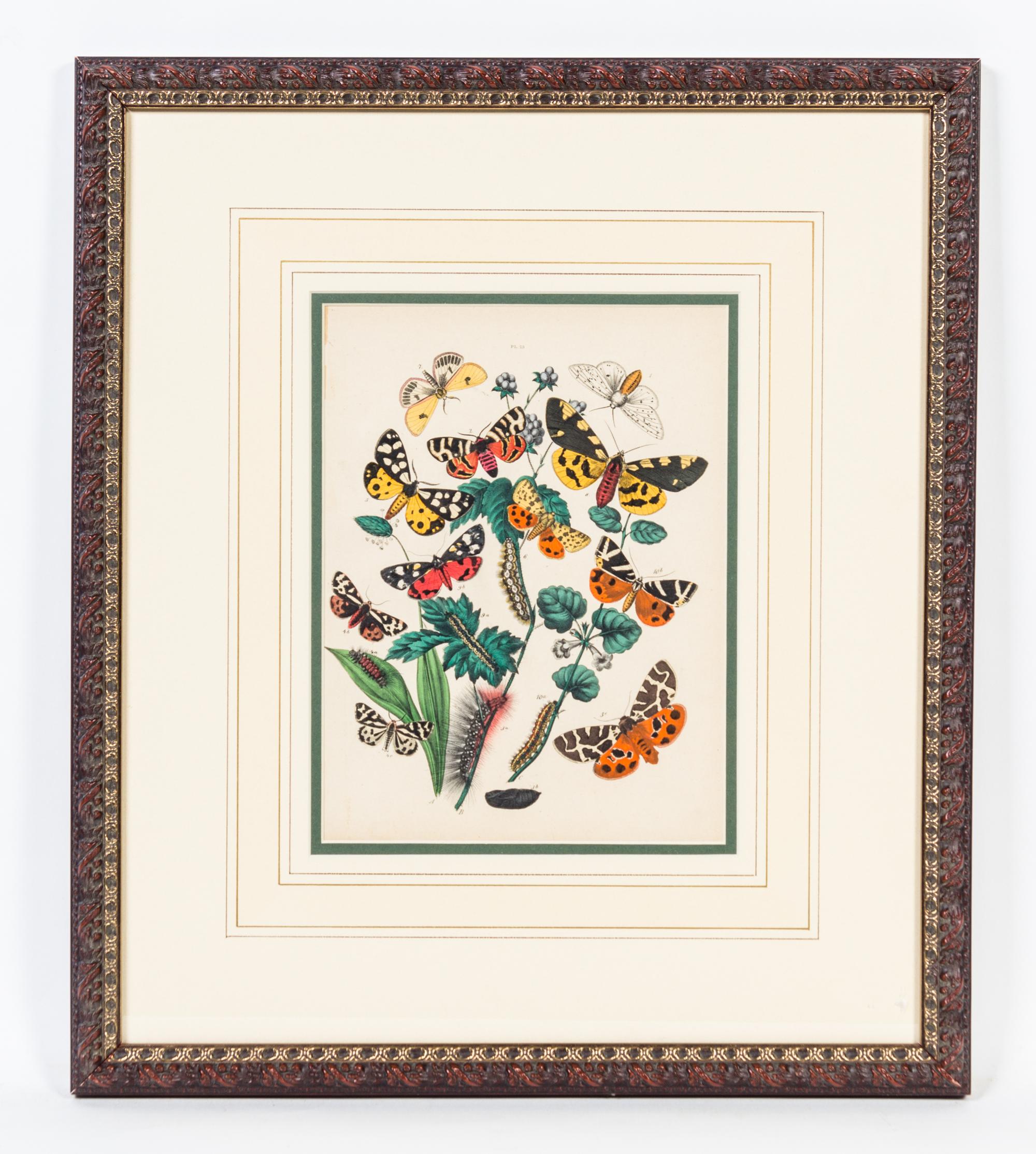 A Set of Four Handcolored Engravings Height of each 20 x width 17 inches.