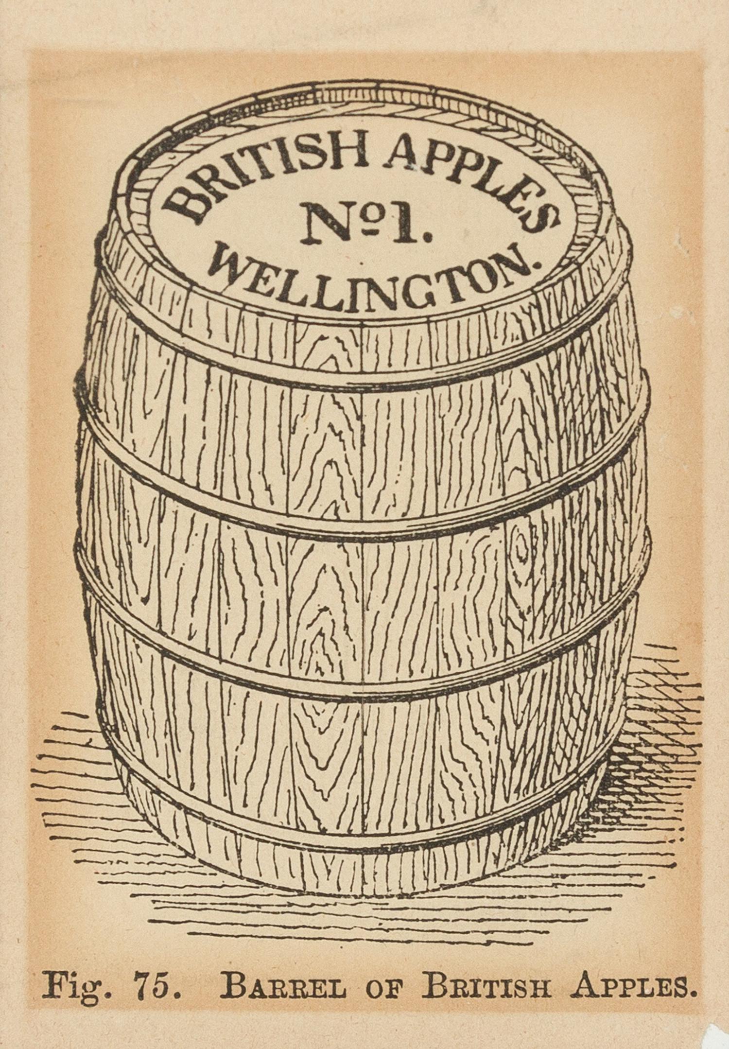 [BIBLIOGRAPHY & BOOKS ABOUT BOOKS]. A group of 13 portraits of booksellers, images of libraries, bookplates, and other book ephemera.