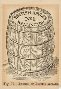 [BIBLIOGRAPHY & BOOKS ABOUT BOOKS]. A group of 13 portraits of booksellers, images of libraries, bookplates, and other book ephemera.