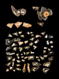77 Attic Red-Figured Vase Fragments