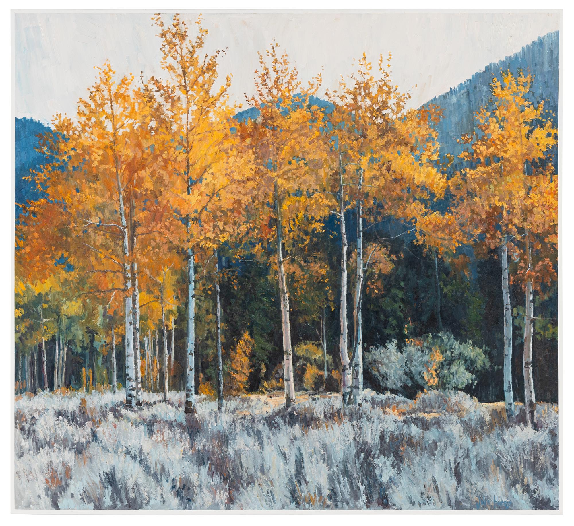 Autumn Aspens