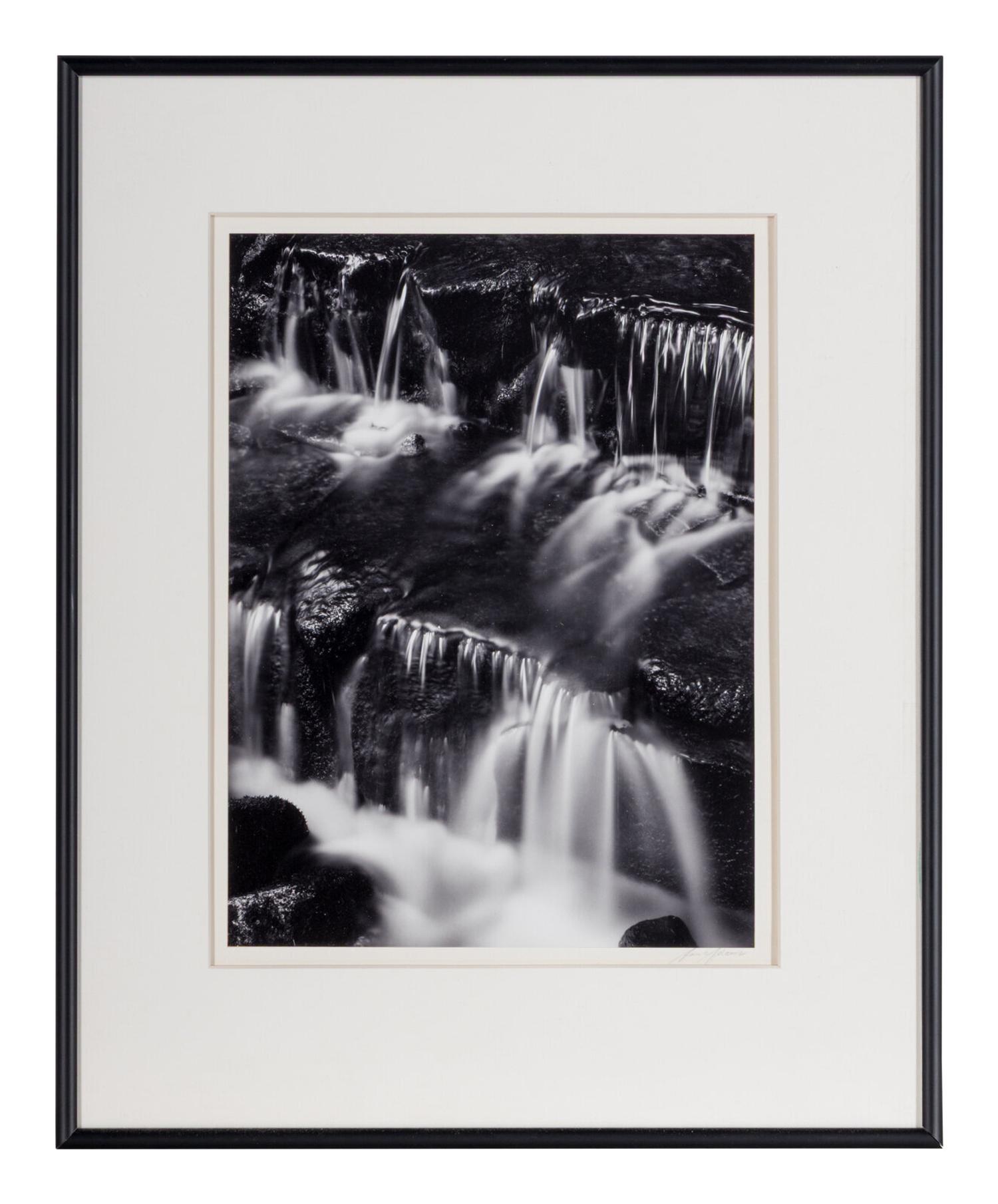 Fern Spring, Dusk Yosemite Valley, California, ca. 1961; printed later