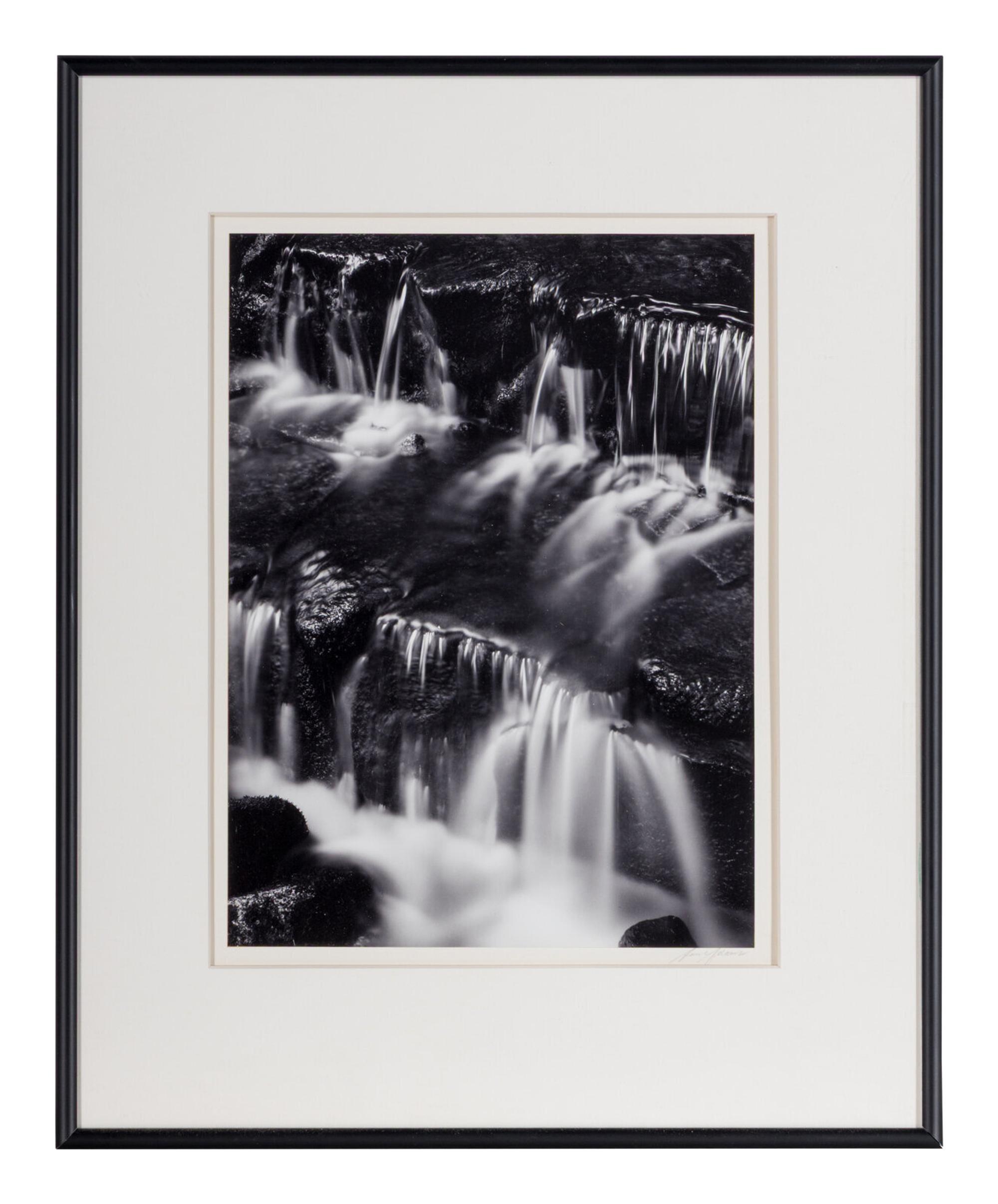 Fern Spring, Dusk Yosemite Valley, California, ca. 1961; printed later