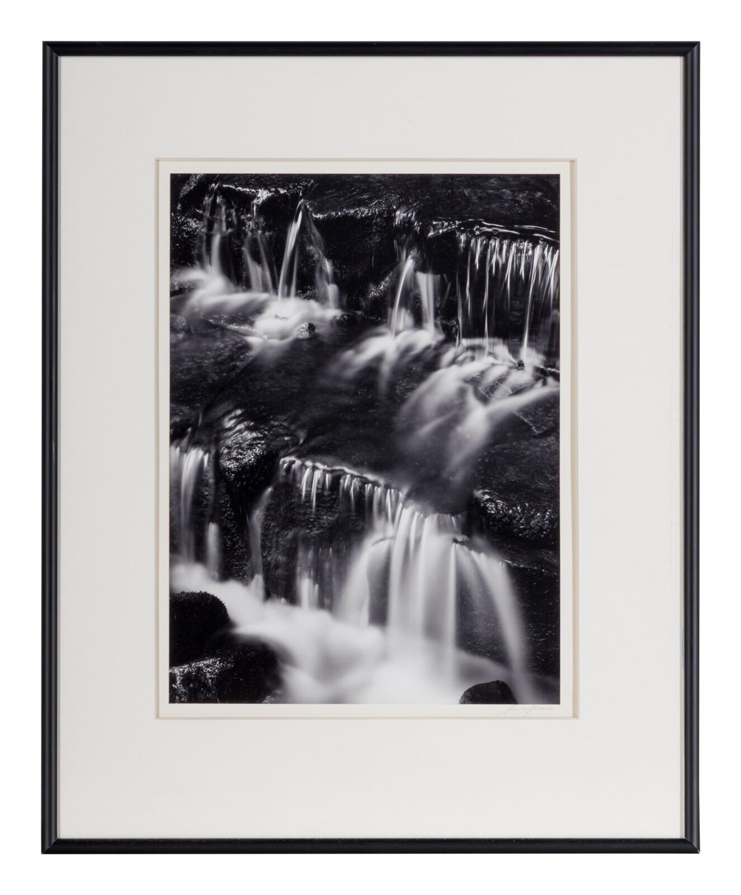 Fern Spring, Dusk Yosemite Valley, California, ca. 1961; printed later