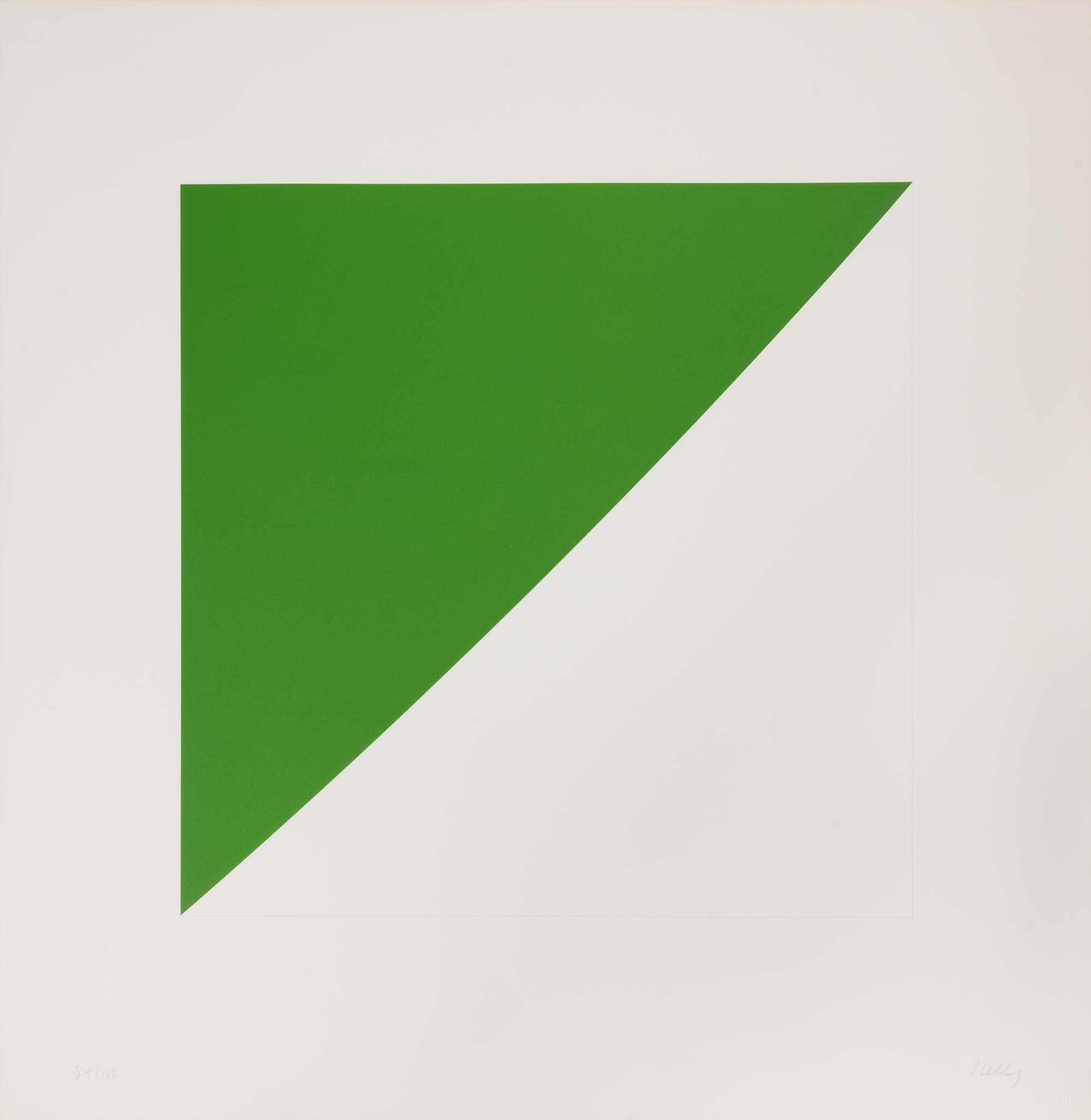 For Meyer Schapiro ( complete portfolio of 12 prints, in original case), 1973-1974