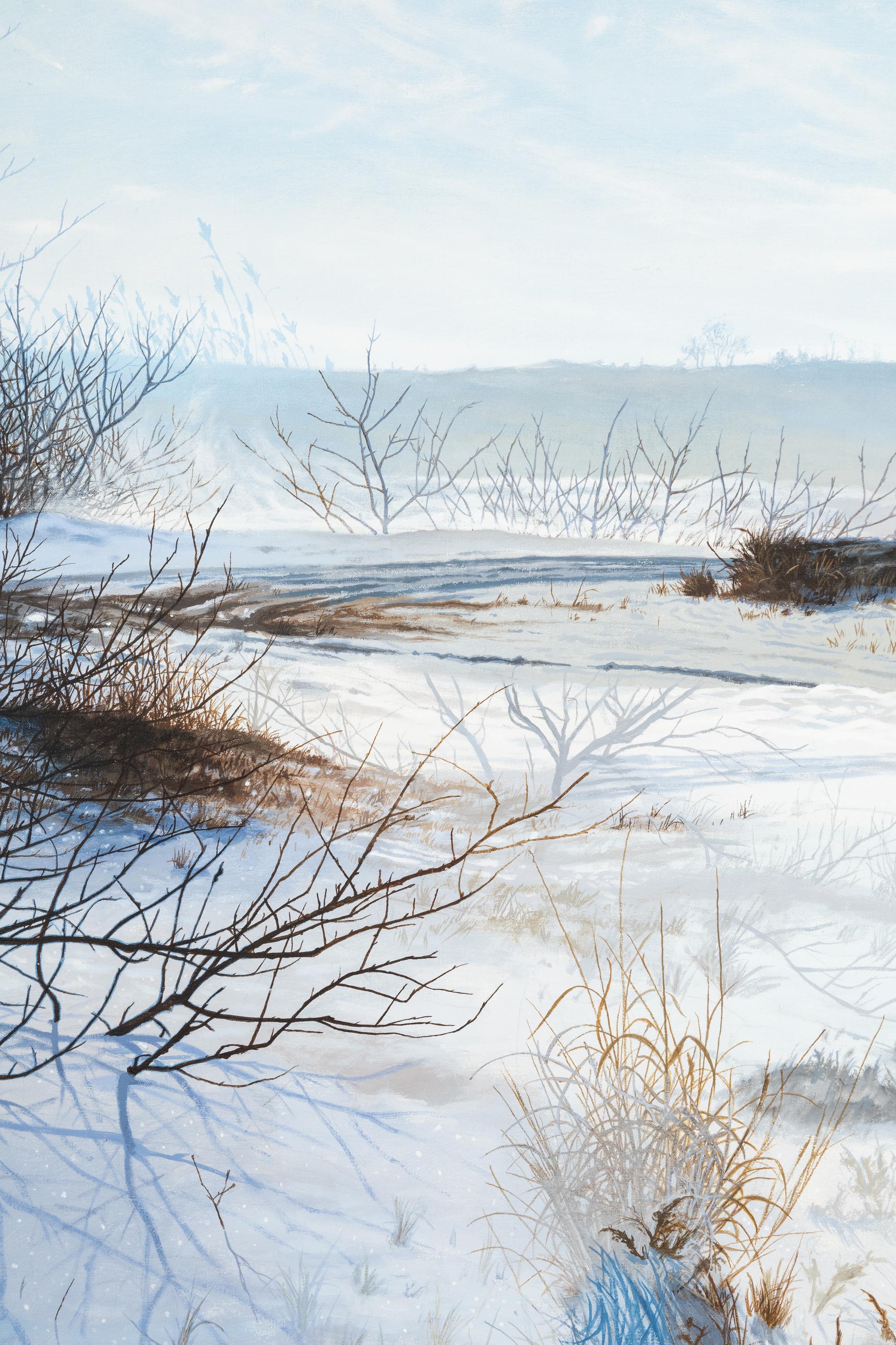 Double Image-Dunes in Winter , 1972
