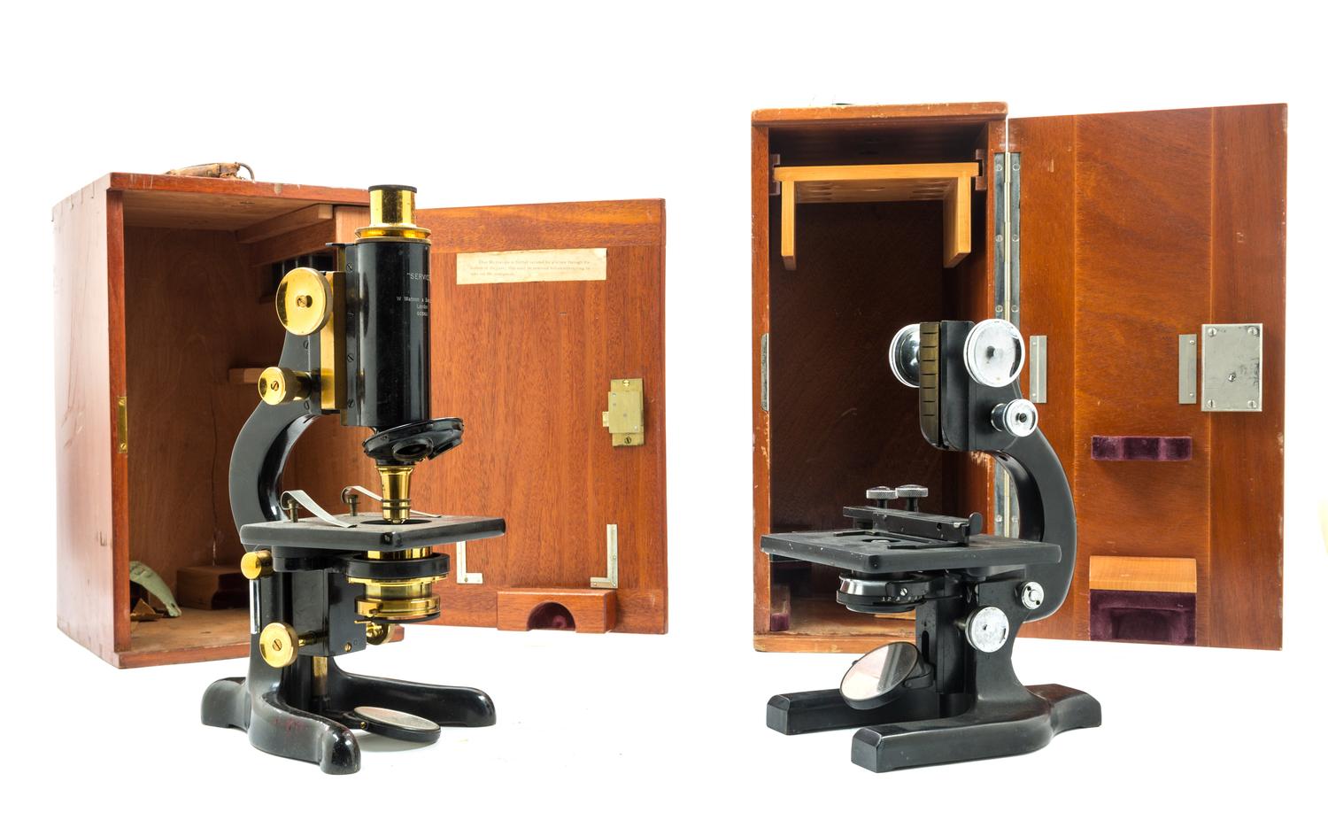 Two English Black Lacquered Microscopes Height of taller 12 1/2 inches.