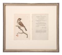 Eight Framed Avian Prints