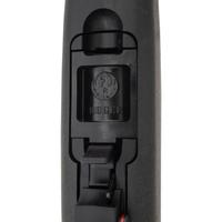 *Ruger 10/22