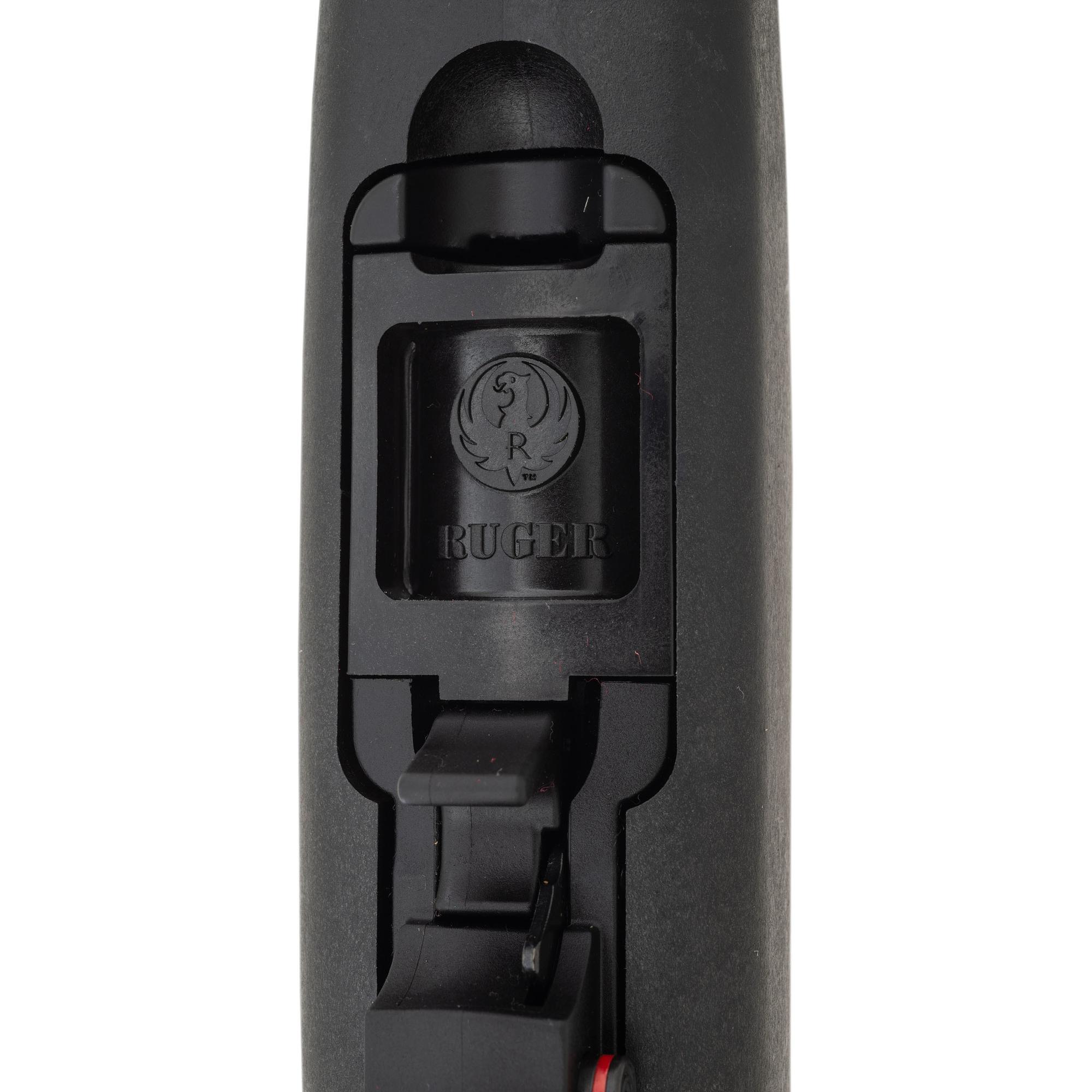 *Ruger 10/22