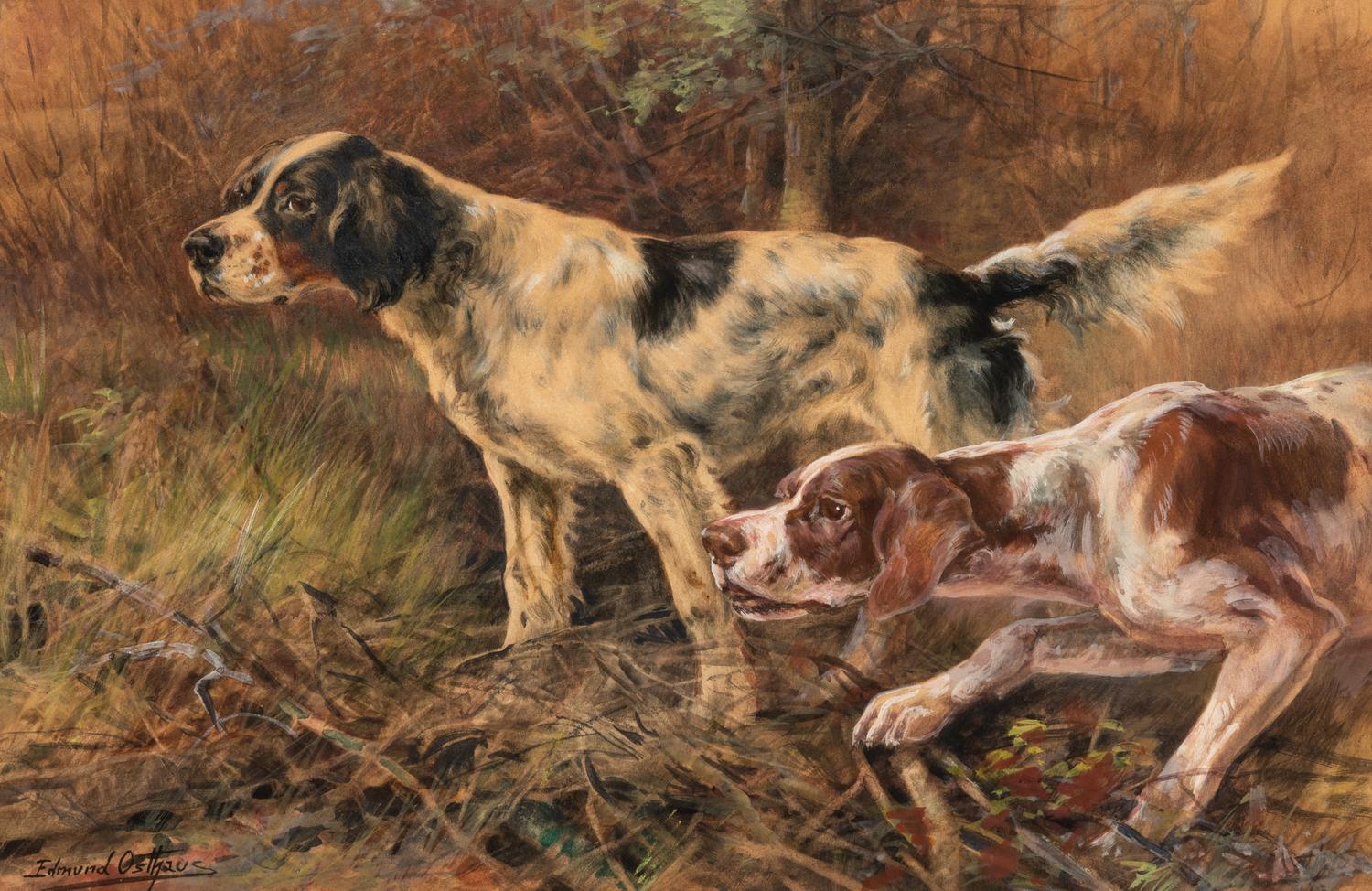 Two Hunting Dogs