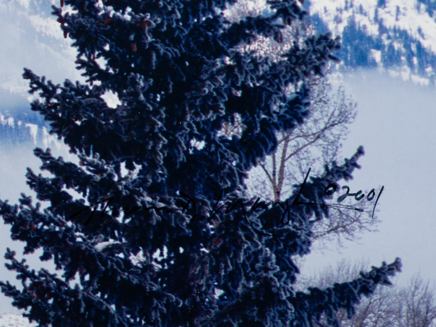 Teton Scenic , edition 73/1500