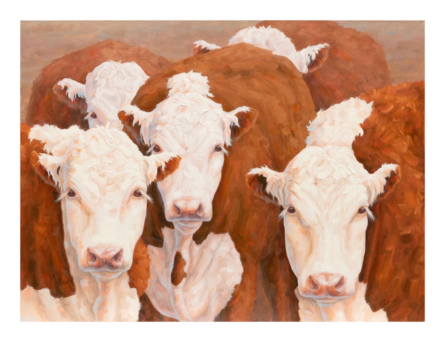 Five Cows