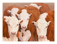 Five Cows