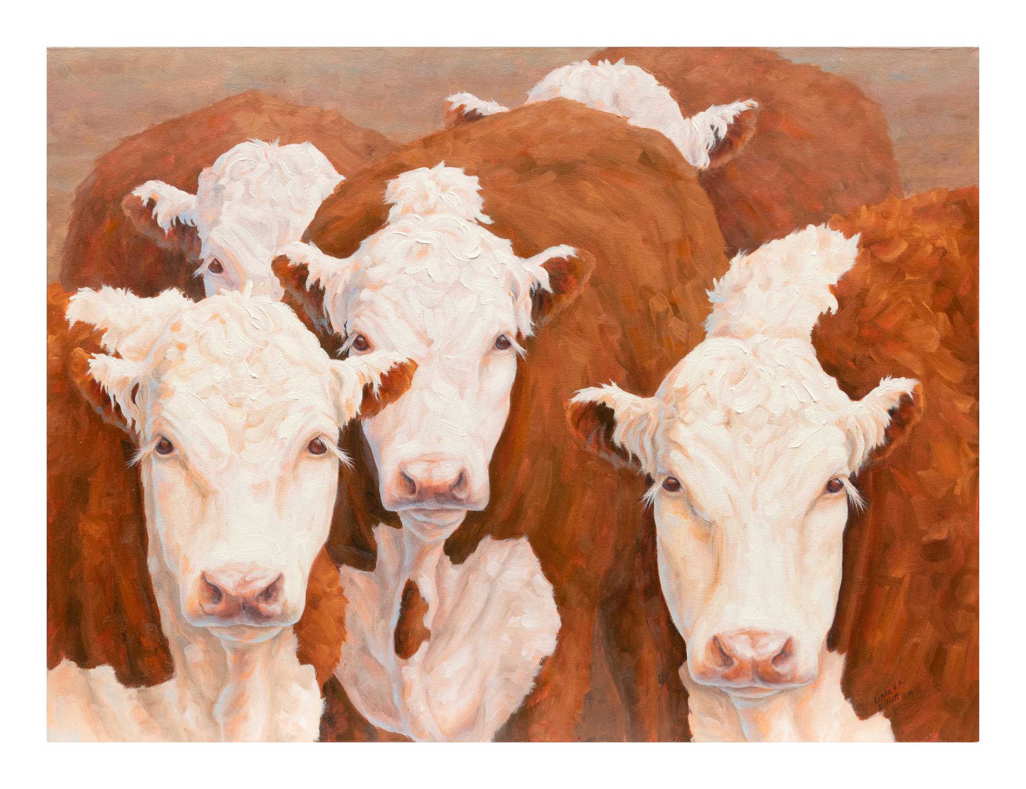 Five Cows