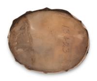 An American Gold and Carved Shell Lid