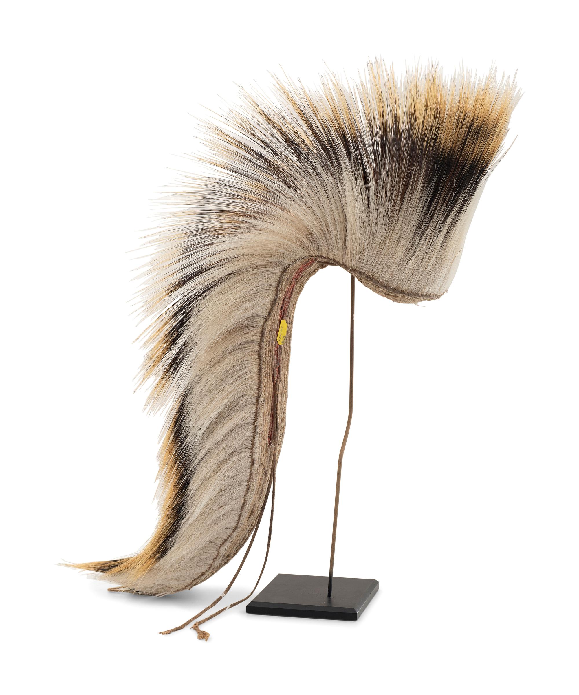 Plains Porcupine Hair Roach