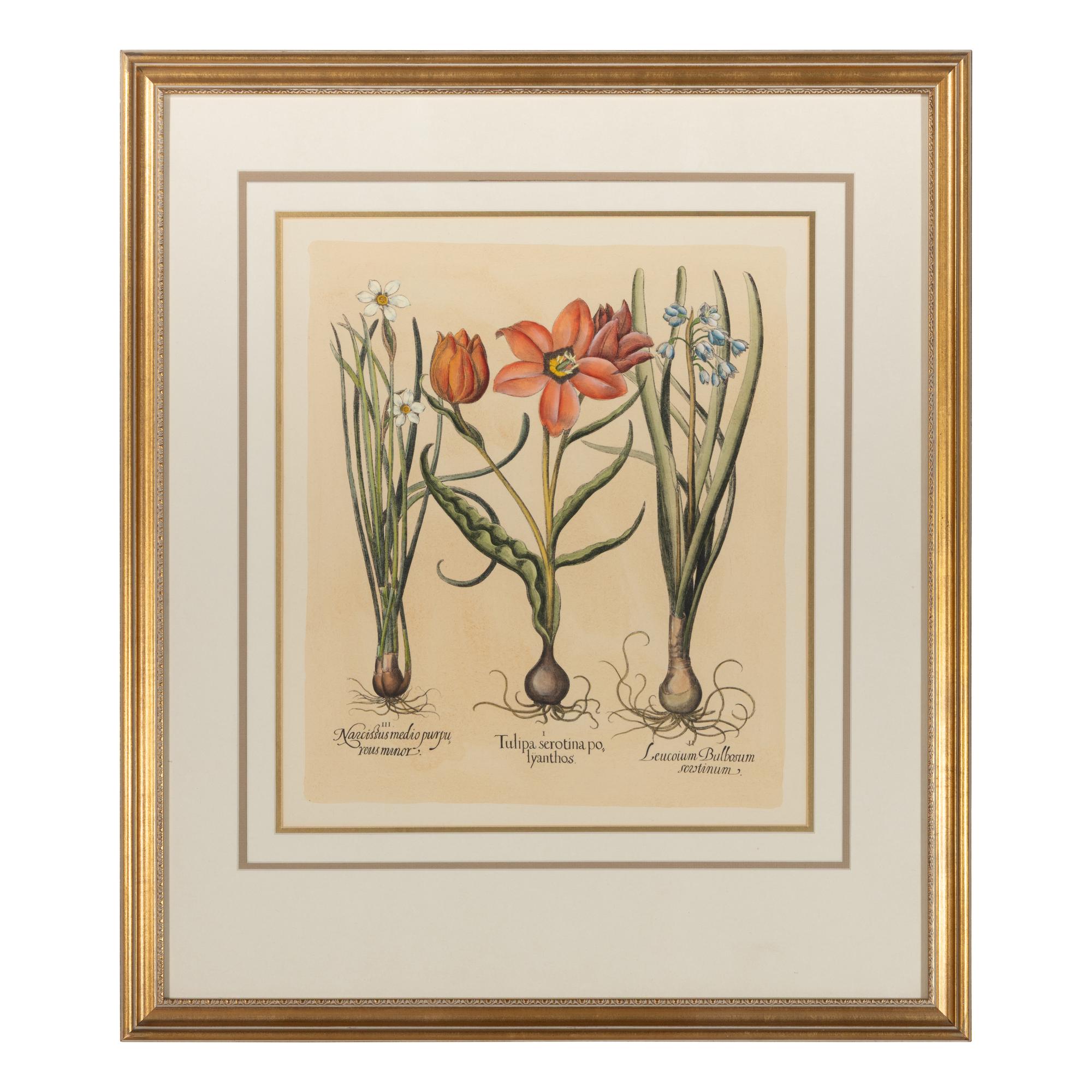 A Group of Three Prints