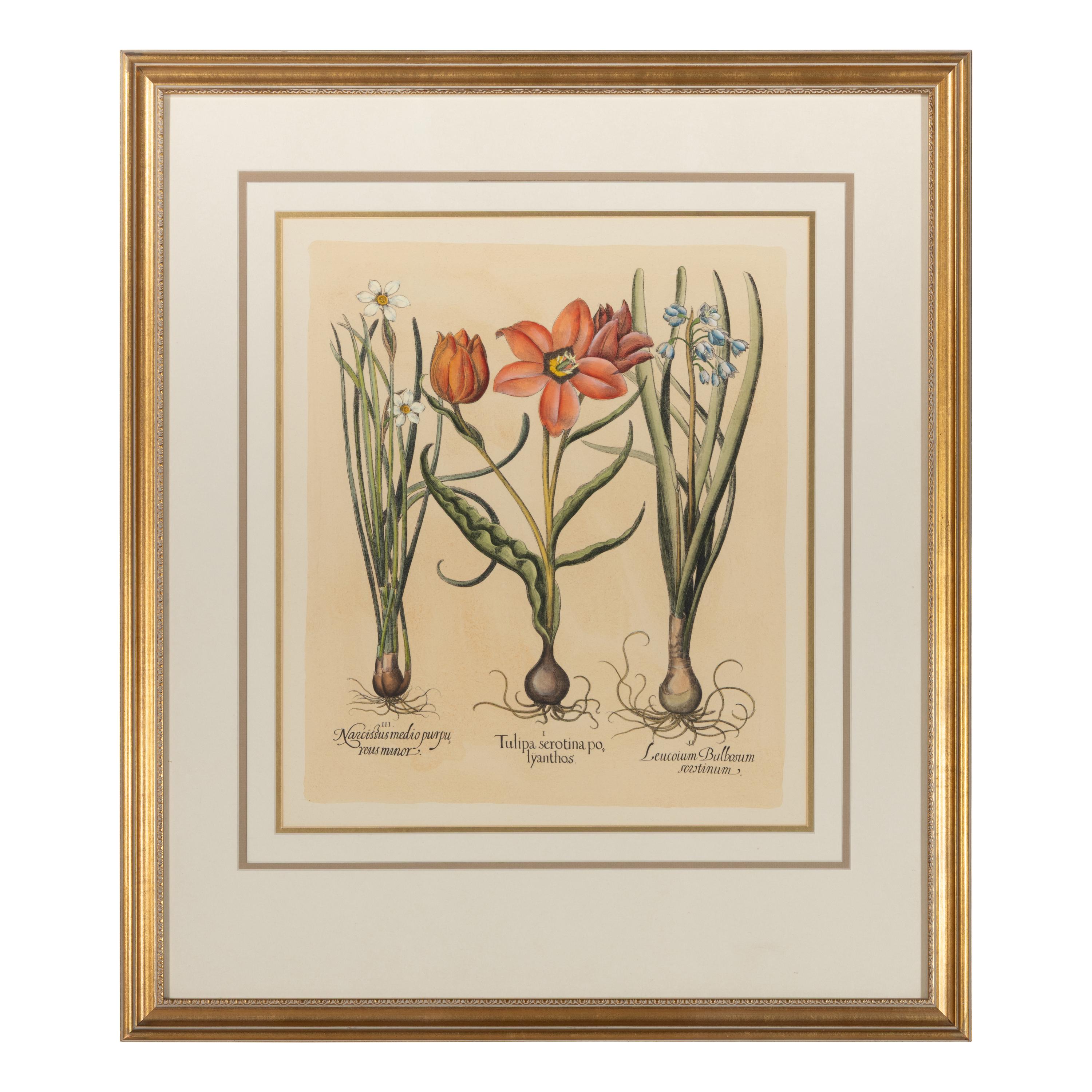A Group of Three Prints