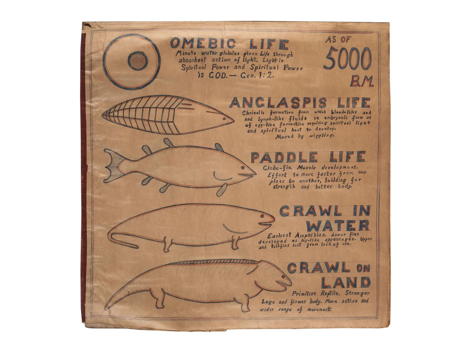 A Bound Set of Folk Art Scientific Drawings