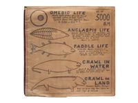 A Bound Set of Folk Art Scientific Drawings