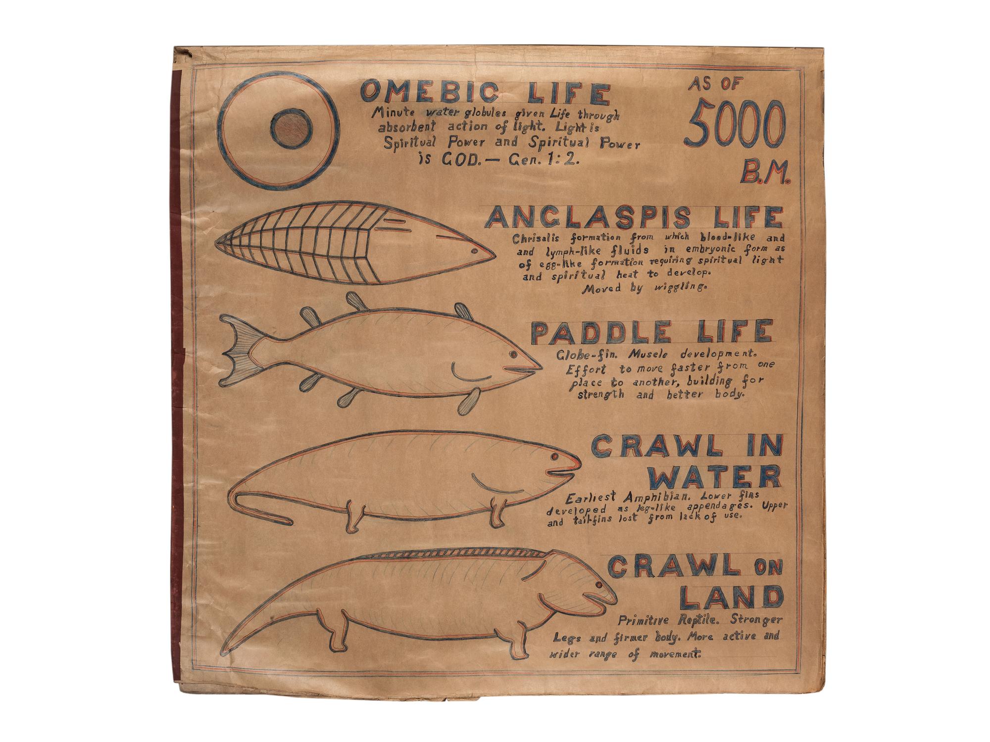 A Bound Set of Folk Art Scientific Drawings