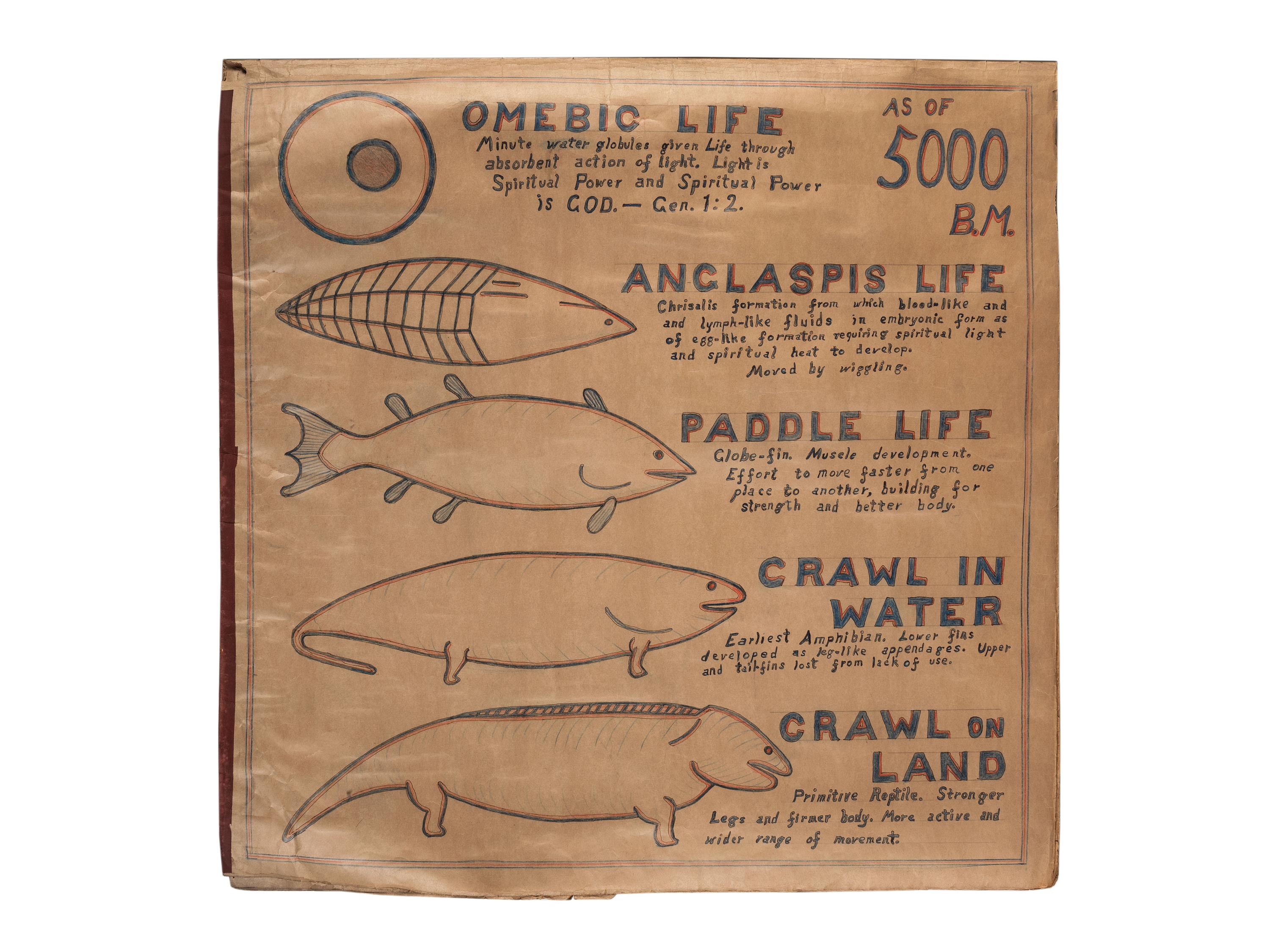A Bound Set of Folk Art Scientific Drawings
