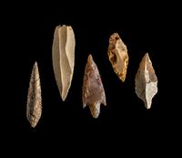 101 Neolithic Flint Points