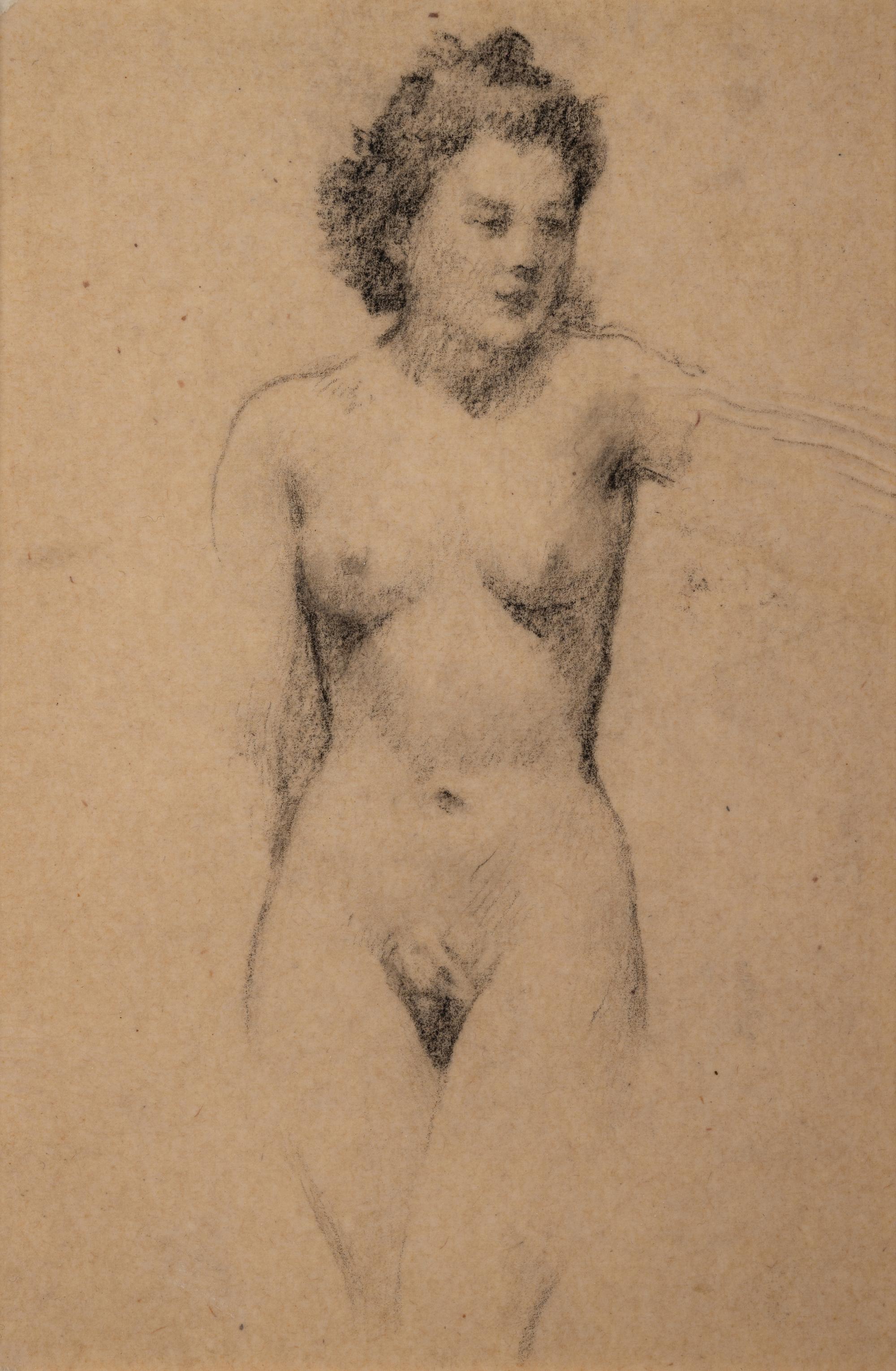 A Group of Three Nude Studies