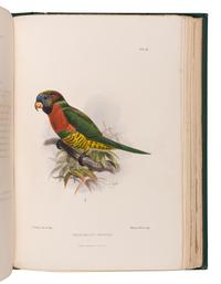 [EXPLORATION -- AUSTRALIA & NEW ZEALAND]. BRENCHLEY, Julius (1816-1873). Jottings During the Cruise of H.M.S. Curacoa Among the South Sea Islands in 1865 . London: Longmans, Green, and Co., 1873.