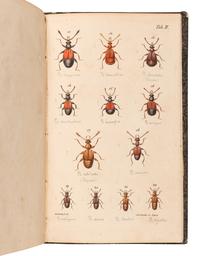 [ENTOMOLOGY & BEETLES]. A group of 47 works, comprising: