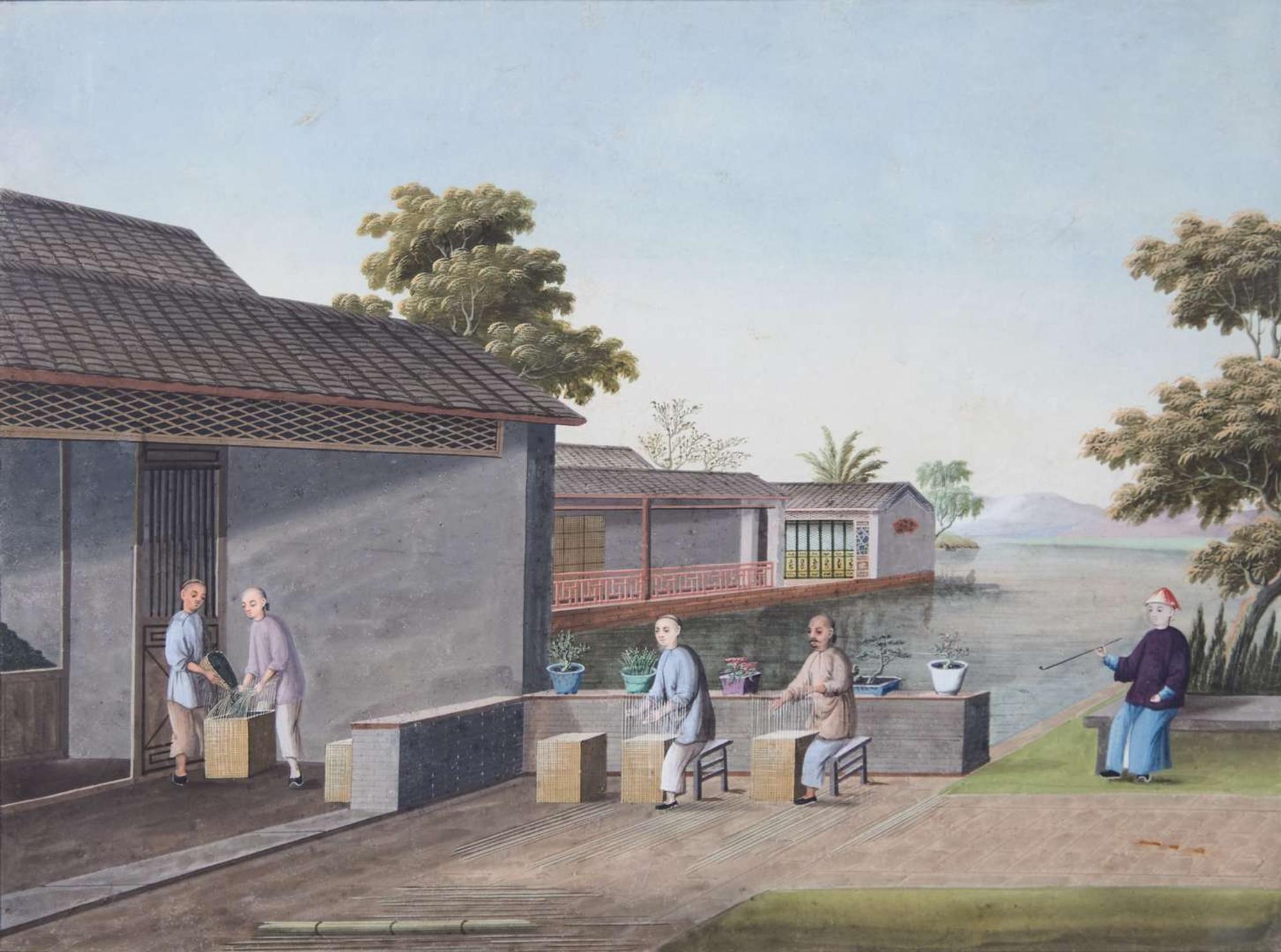 A group of five Chinese Export paintings depicting the manufacture of tea, first part 19th century 製茶圖一組五幅 十九世紀初