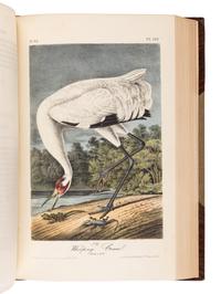 AUDUBON, John James (1785-1851). The Birds of America, from Drawings Made in the United States and their Territories . New York and Philadelphia: J.J. Audubon and J.B. Chevalier, [1839-] 1840-1844.