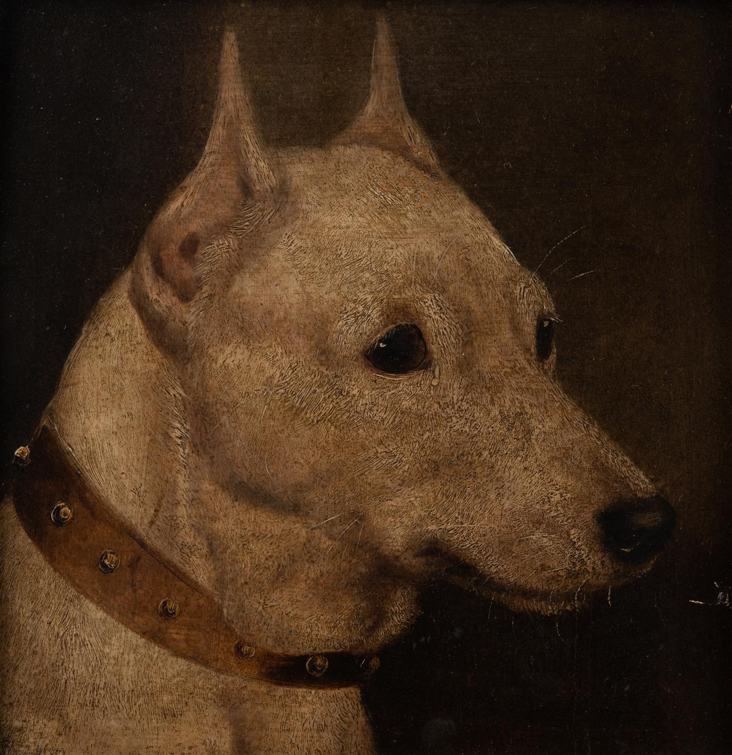 Two Paintings of Champion Bull Terriers