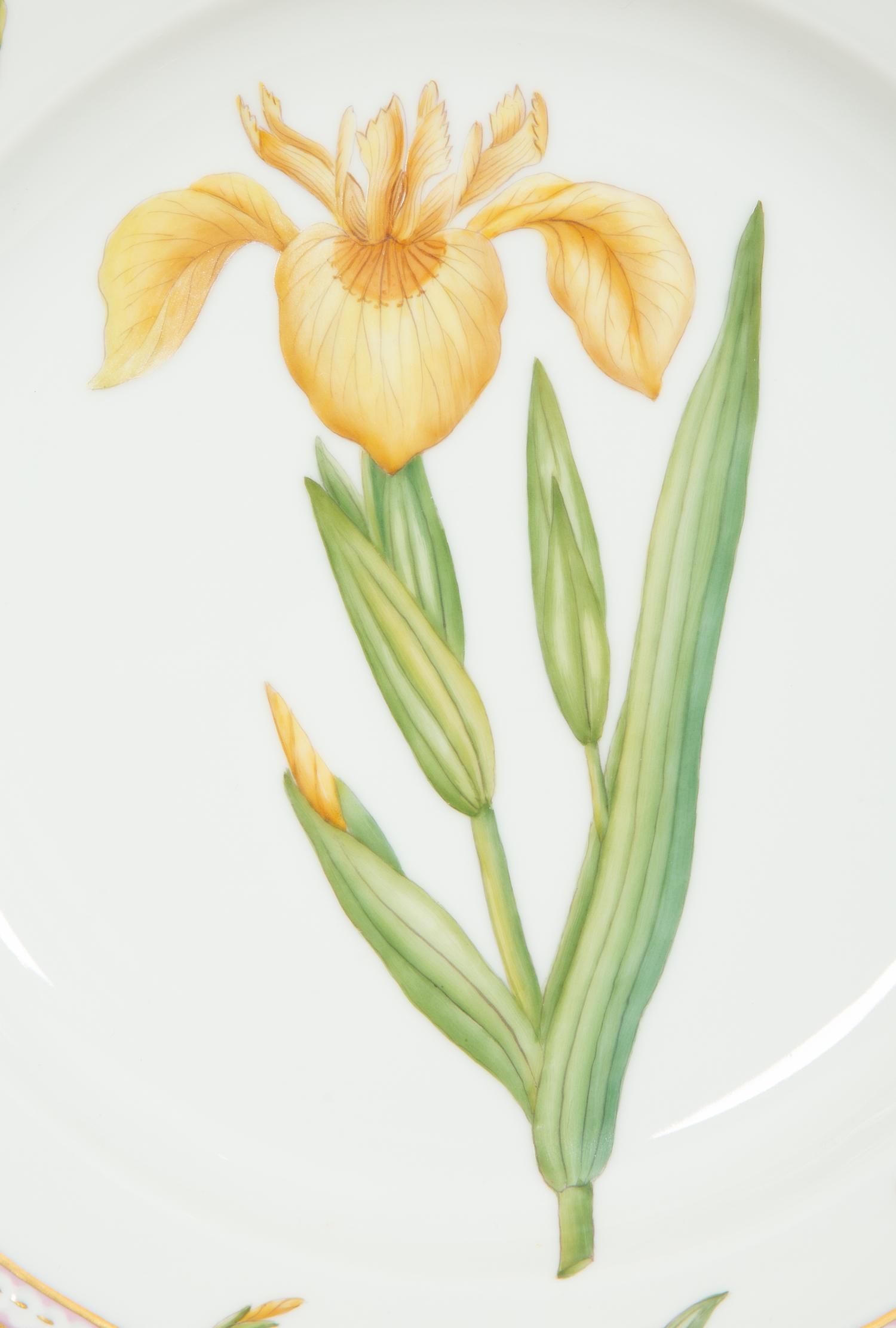 Thirteen Royal Copenhagen Flora Danica Porcelain Dinner Plates