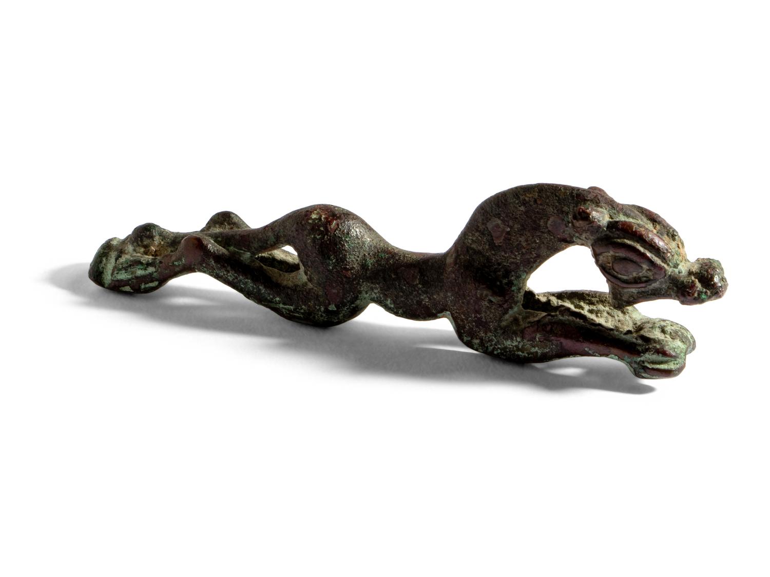 A Eurasian Bronze Panther